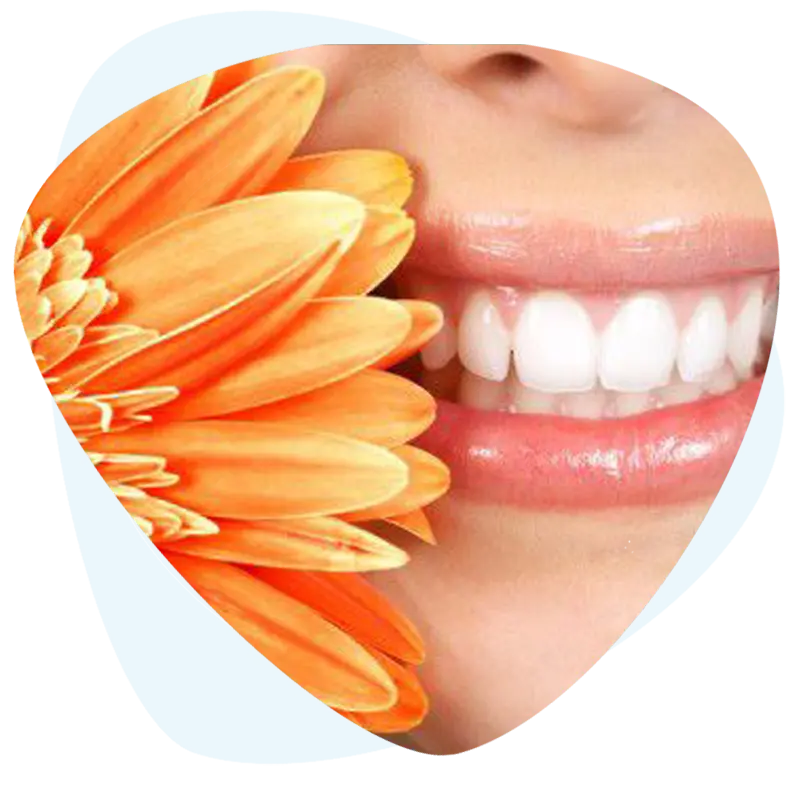 Estetska i restaurativna stomatologija